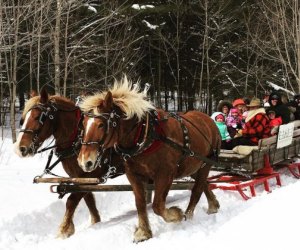 Inexpensive Winter Weekend Getaways from NYC: Adirondack Sleigh Rides