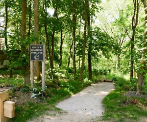 Alley Pond Park has many hiking trails