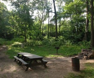 A bbq area at Ally Pond Park