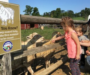 Cream Of The Crop 10 Best Farms For Family Fun And Entertainment In Nj Mommypoppins Things To Do In New Jersey With Kids