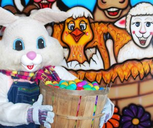 Have a delicious brunch with the Easter Bunny at Alstede Farms. Photo courtesy of the farm