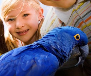 Kids are free in October at the San Diego Zoo. Photo courtesy of the San Diego Zoo