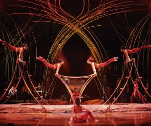 Cirque du Soleil: Amaluna
