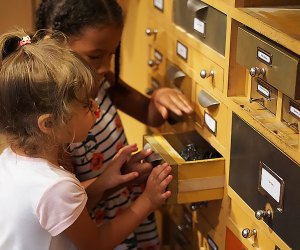 AMNH: The Discovery Room