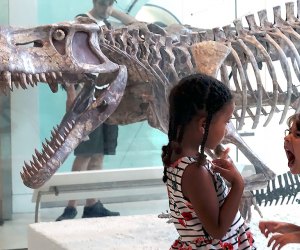 Tour exhibits provide visitors with a playground for all ages