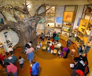 Best Children S Museums For Families To Visit In New York City Mommypoppins Things To Do In New York City With Kids