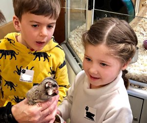 Meet some cute woodland critters at Animal Meet & Greet. Photo courtesy of Darien Nature Center