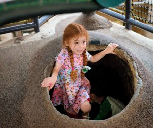 Kiddos can climb through the famous Ant Tunnel. Photo courtesy of Kidspace
