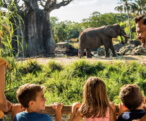 Animal Kingdom: Best Theme Parks in the US for Special Needs Kids