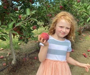 Head to Johnson's Locust Hill Farm for apple picking and tons of fall-themed fun. Photo by Lisa Warden