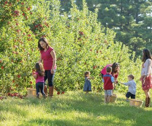 Image of children apple picking near Boston at Smolak Farms.