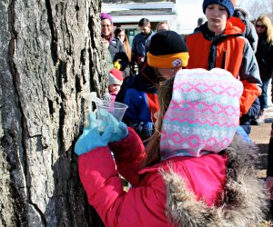 Boston kids enjoy the activity of maple sugaring at local farms.