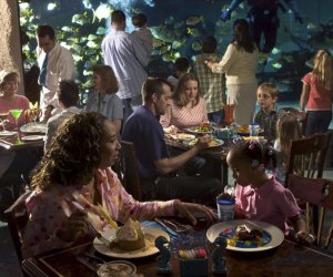 The Aquarium is a unique setting for Mother's Day brunch.