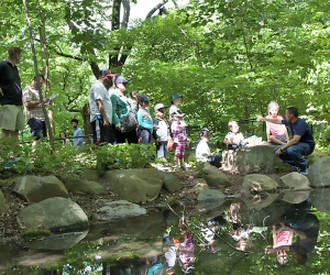 Join the Prospect Park Alliance for free Arbor Day fun with nature games and an exhibit in Brooklyn’s last remaining forest. Photo by Virginia Freire