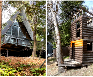 California Vacation Home Rentals for Families: One cabin to sleep in, one to play in.