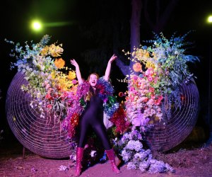 The DiscOasis at South Coast Botanic Garden: At night