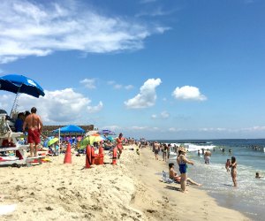 Monmouth County Highlights: Beaches, Forests, Play Spaces
