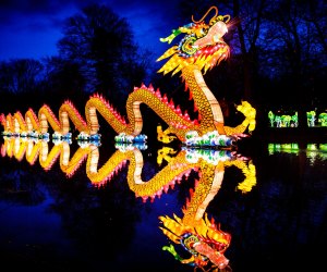 Thrill to the pageantry of the Asian Lantern Festival. Photo courtesy of Central Florida Zoo