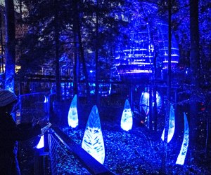 Atlanta Things to do over Christmas Break: Fernbank transforms into a Winter Wonderland