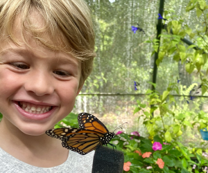 Kids enjoy all things butterflies at the annual Flying Colors Butterfly Festival at Chattahoochee Nature Center. Photo by Claudia Stillwagon