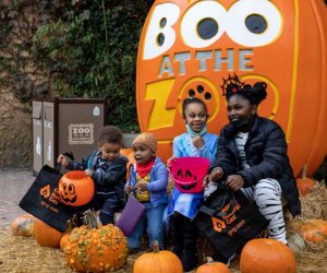 Boo at the Zoo runs for four magical days in October. Photo courtesy of Zoo Atlanta