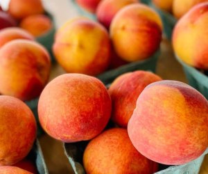 Fill your basket with Georgia Peaches at Dickey Farms.  Photo courtesy of the farm