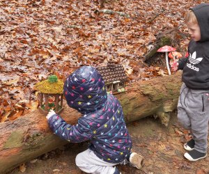 Explore the Enchanted Woodland Trail at the Chattahoochee Nature Center. Photo courtesy of CNC