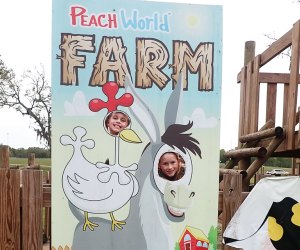 Take a fun-filled break from the drive along I95 and let loose at the ultimate rest stop: Georgia Peach World Farm.
