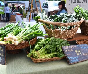 Let the kiddos play while you fill up on greens at the Grant Park Farmers Market.