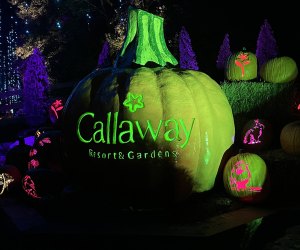 Pumpkins at Callaway is a fun fall event with glowing decor, a pumpkin patch, and a gigantic 