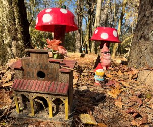 Hanging at Halcyon: Fairy Village at Big Creek Greenway