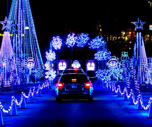 Enjoy the sparkle of the season at the Glow Light Show Festival in Lawrenceville. Photo courtesy of the event
