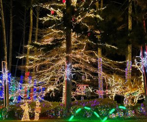 New England Zoo to Ring in Holiday Season With Lights Spectacular