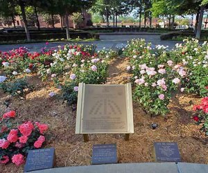 "I Have a Dream" World Peace Rose Garden Visiting Martin Luther King Jr. National Historic Park in Atlanta with Kids