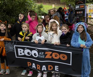 Trick or treat, snap cute photos, enjoy themed entertainment, and more at Zoo Atlanta's Boo at the Zoo. Photo courtesy of Zoo Atlanta