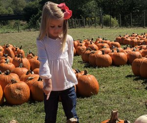 Uncle Shuck’s Corn Maze and Pumpkin Patch 