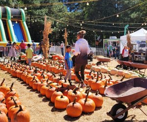 Pumpkin Patches Near Atlanta: Randy's Pumpkin Patch