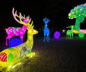 Head to the Gwinnett County Fairgrounds to walk through an outdoor maze of over 1,000 illuminated Chinese lanterns at the Winter Lantern Festival. Photo by Rebecca Ruffin Leffler