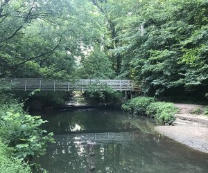 Atlanta Hiking: 14 Family-Friendly Spots to Get Close to Mother Nature Blue Heron Nature Preserve is a wondrous Atlanta hike that's home to a variety of flora and fauna. Photo by the author
