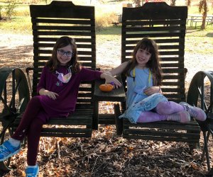 Pumpkin Patches Near Atlanta: Berry Patch Farms