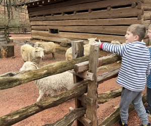 Atlanta History Center: Smith Farm