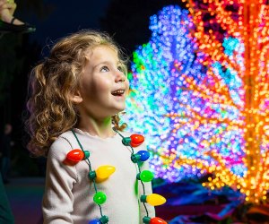 Garden Lights, Holiday Nights at the Atlanta Botanical Garden is open on Thanksgiving and all holidays throughout the season! Photo courtesy of the Garden