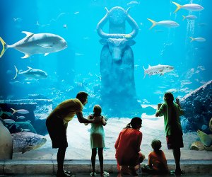 Winter Vacation Ideas: Atlantis Resort