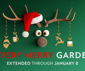 A Very Merry Garden: Reindeer Round-Up & Santa Letters