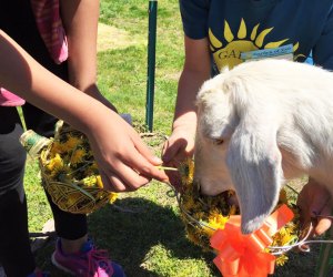 From friendly animals to fresh produce, there's plenty to love about a visit to Garden of Eve.