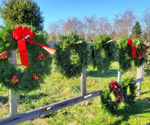 evergreen wreaths at Barclay's Tree Farm christmas tree farm nj