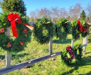 Christmas tree farms near NYC: Barclay's Tree Farm