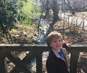 There's always fun things to do with preschoolers at the Brooklyn Botanic Garden