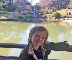 Brooklyn Botanic Garden's The Japanese Hill-and-Pond Garden boy on bridge