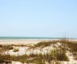 Beach near Charleston, SC